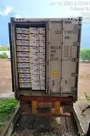 Export & Inport